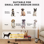 Raised Dog Bed With Breathable Mesh For S & M Dogs, Red | Red