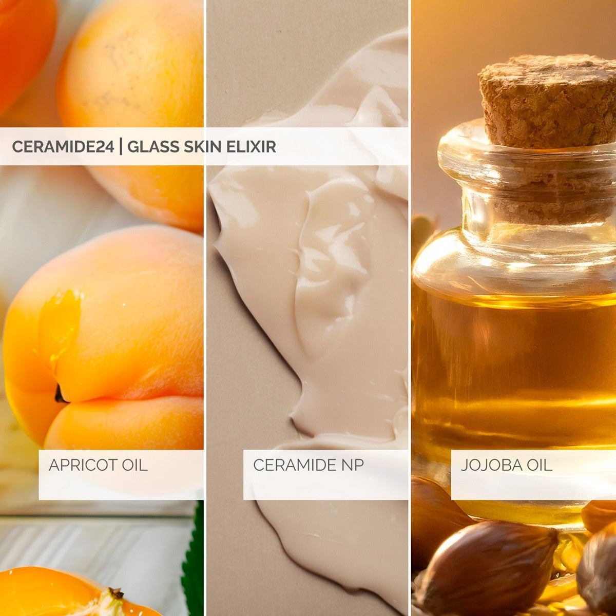 Ceramide24 Glass Skin Elixir 30ml