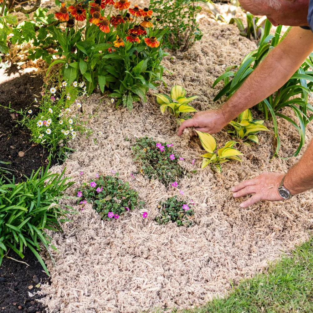 Incredimulch Plus 10 Litre Bag | Set-of-2