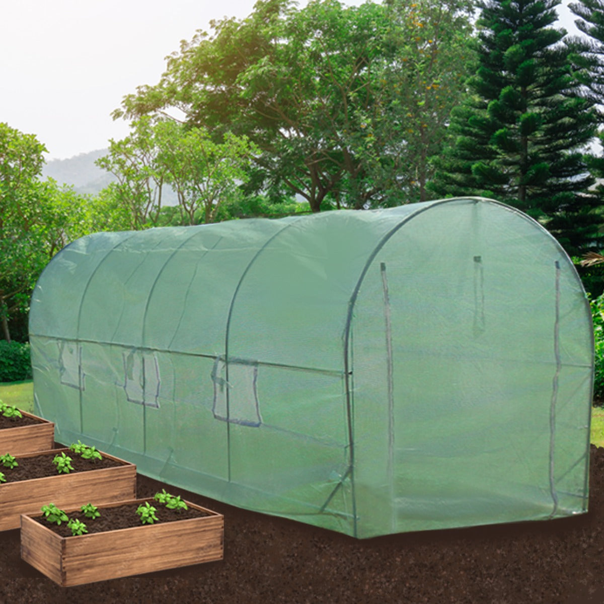 Polytunnel With Racking | 19mm 5m x 2m | Green