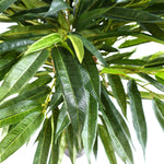 Artificial 100cm Realistic Artificial Tree Longifolia Ficus Natural Trunk