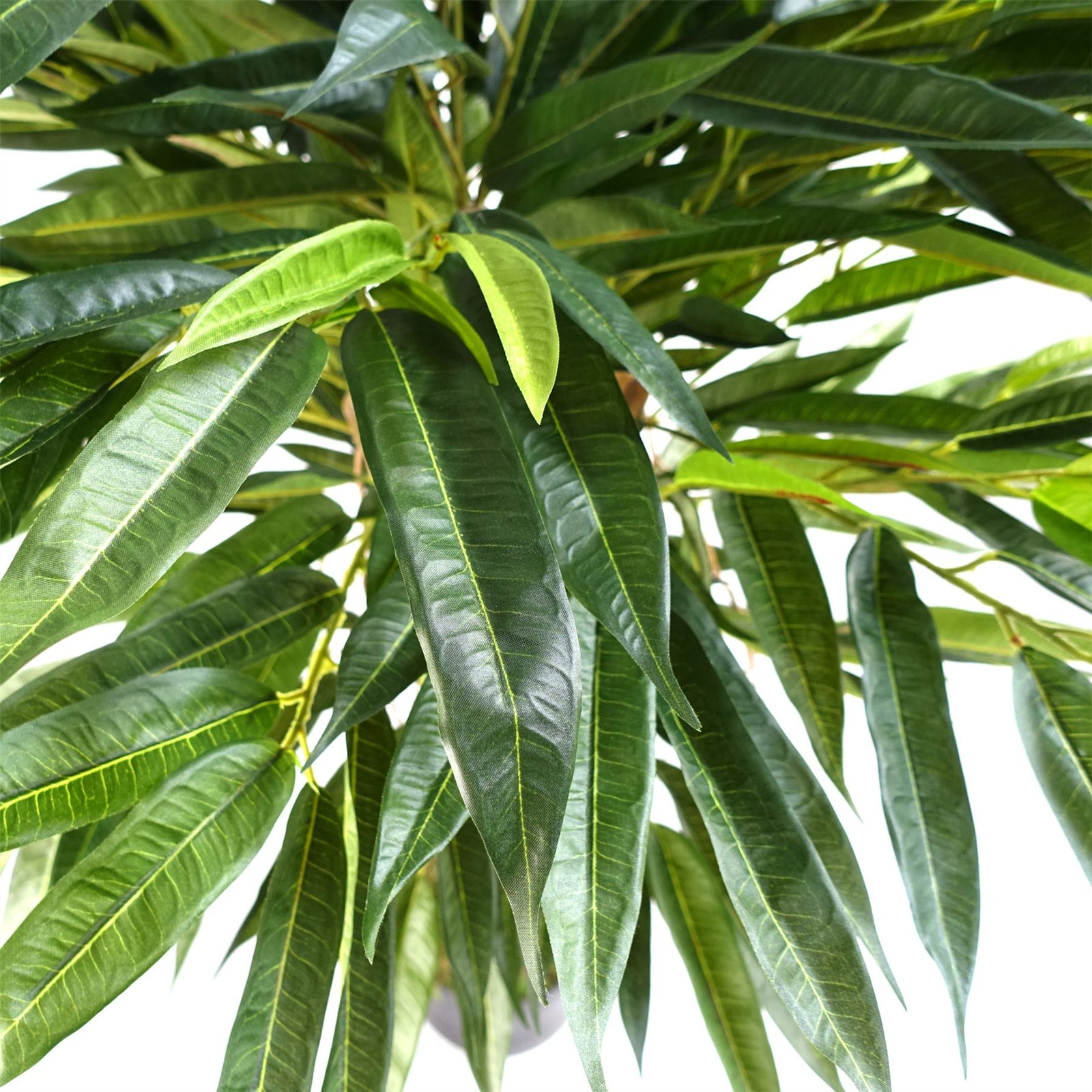 Artificial 100cm Realistic Artificial Tree Longifolia Ficus Natural Trunk