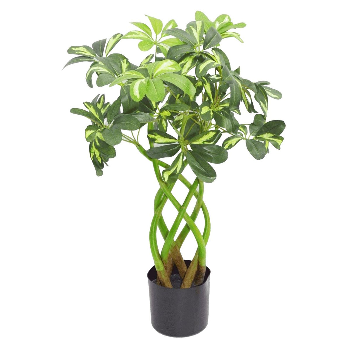 Artificial 70cm Plant Bonsai Bush Twisted Stem Golden Capella