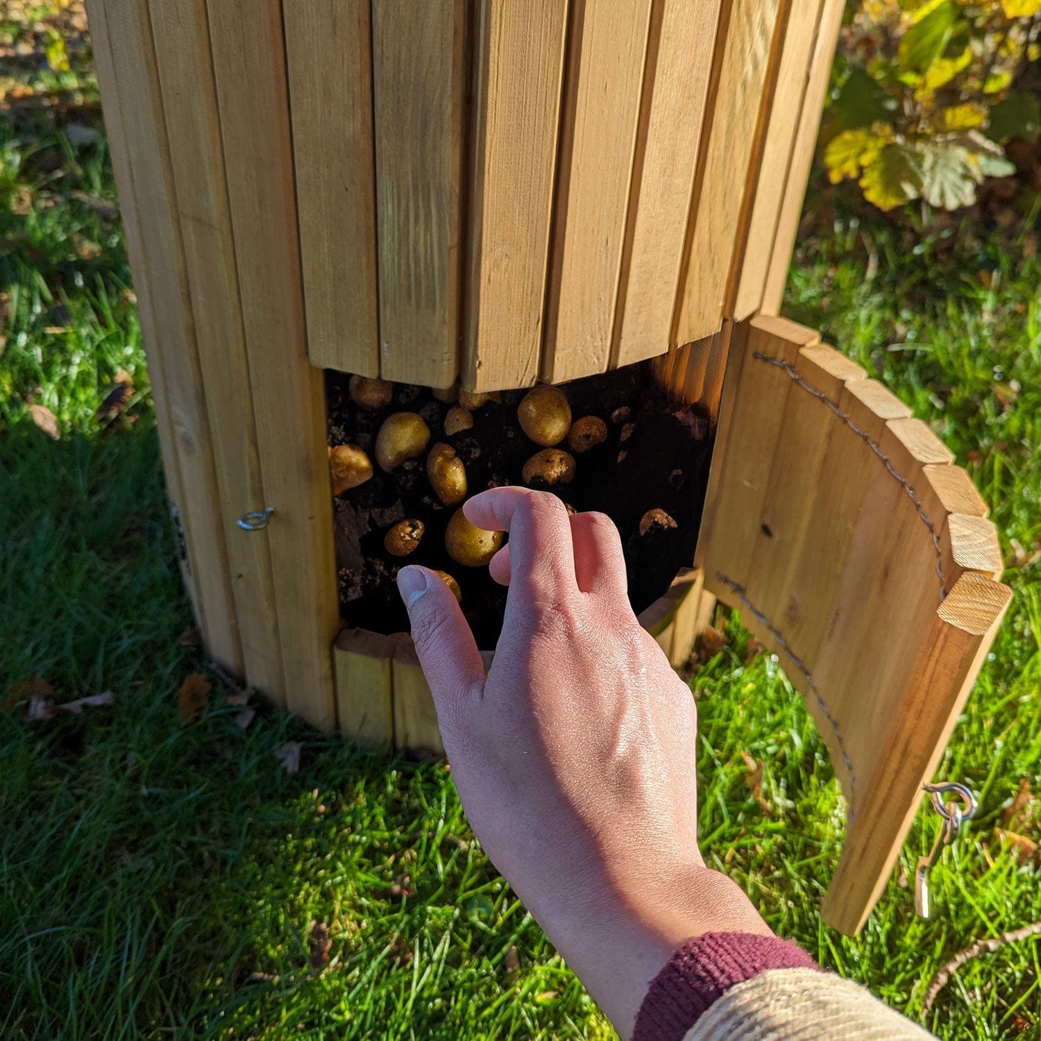 Wooden Potato Planter Barrel | 42cm x 42cm x 65cm | Brown