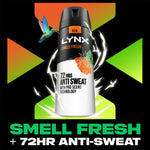 Jungle Fresh 72 Hrs Anti Sweat Anti-perspirant Body Spray For Men, 150ml | Set of 18