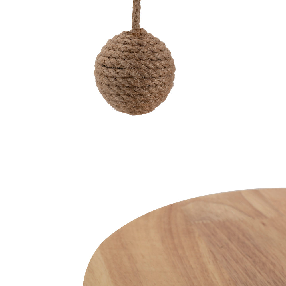 2-in-1 Cat Climbing Frame Floor Lamp