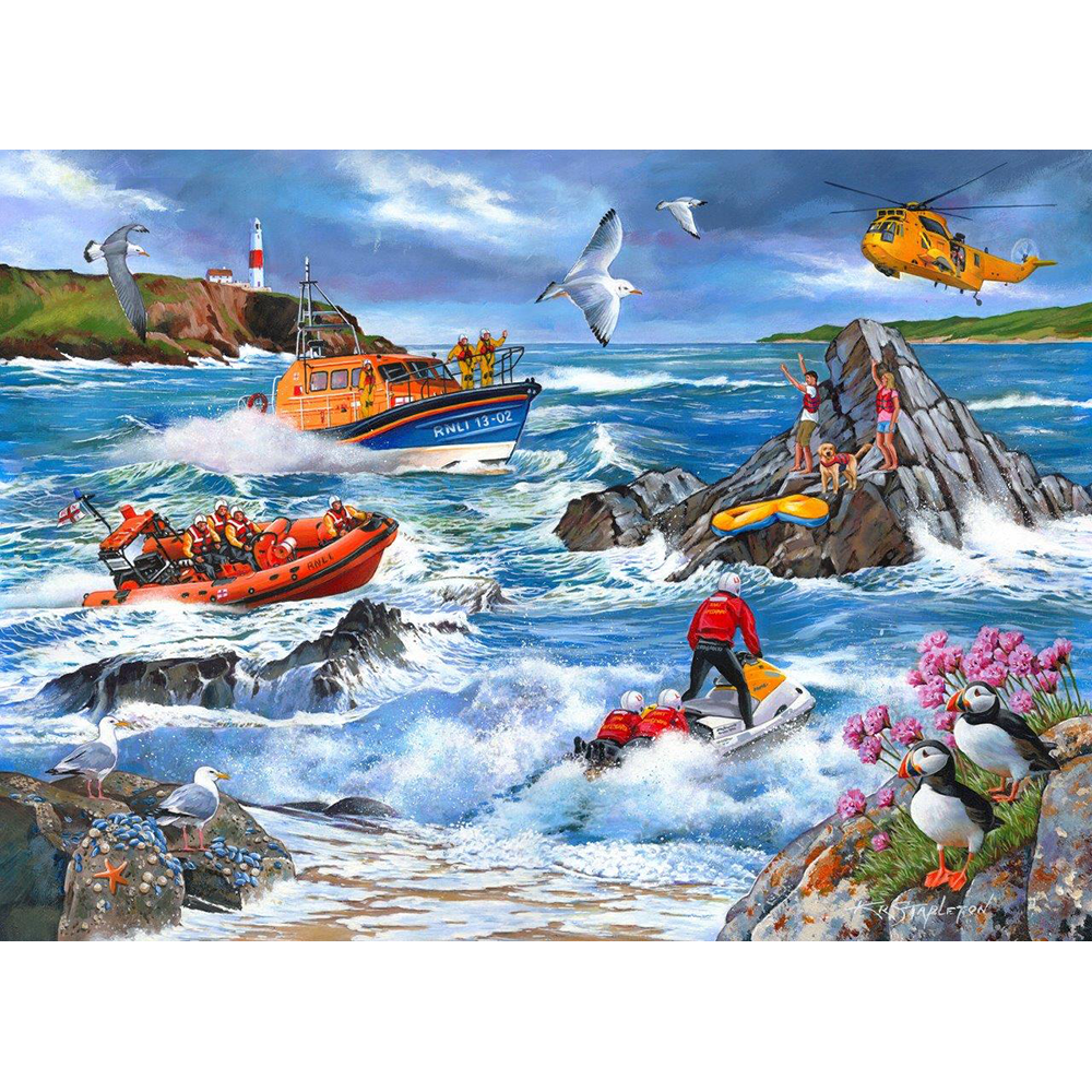 Against The Tide - 1000 Piece Jigsaw Puzzle For Adults