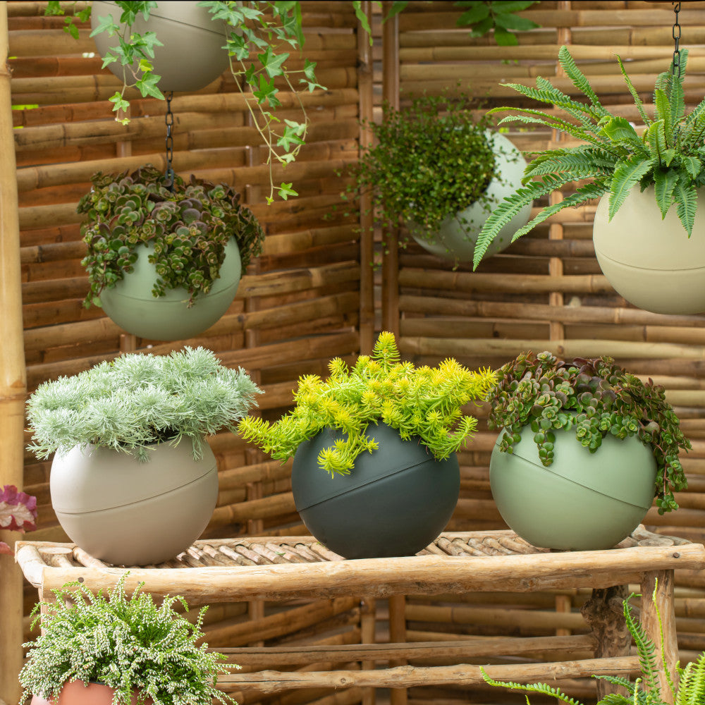 Globee Planter Trio - Anthacite, Sand And Olive (2 of each) | Set-of-6 | Multi