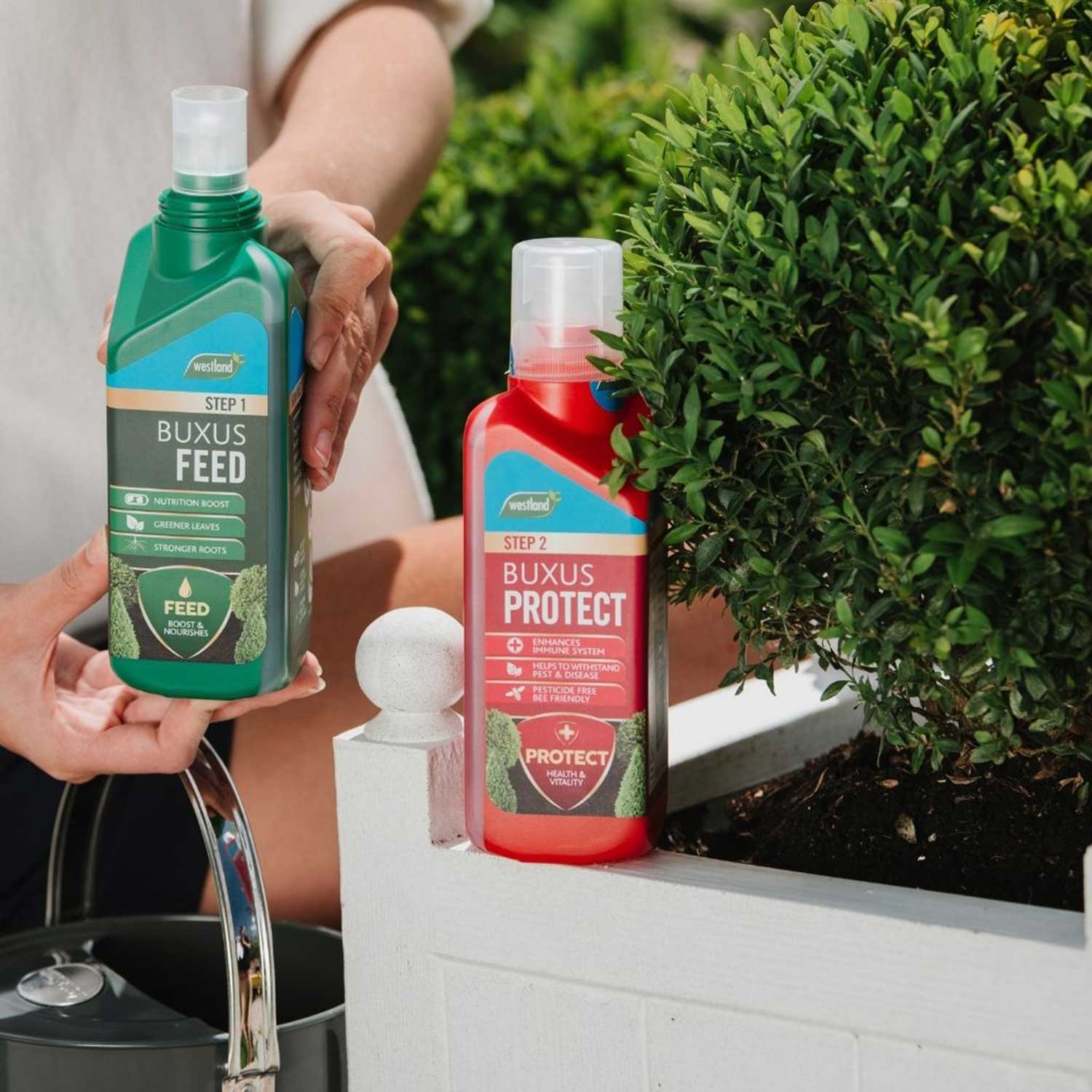 Buxus 2-in-1 Feed & Protect Duo | Pair