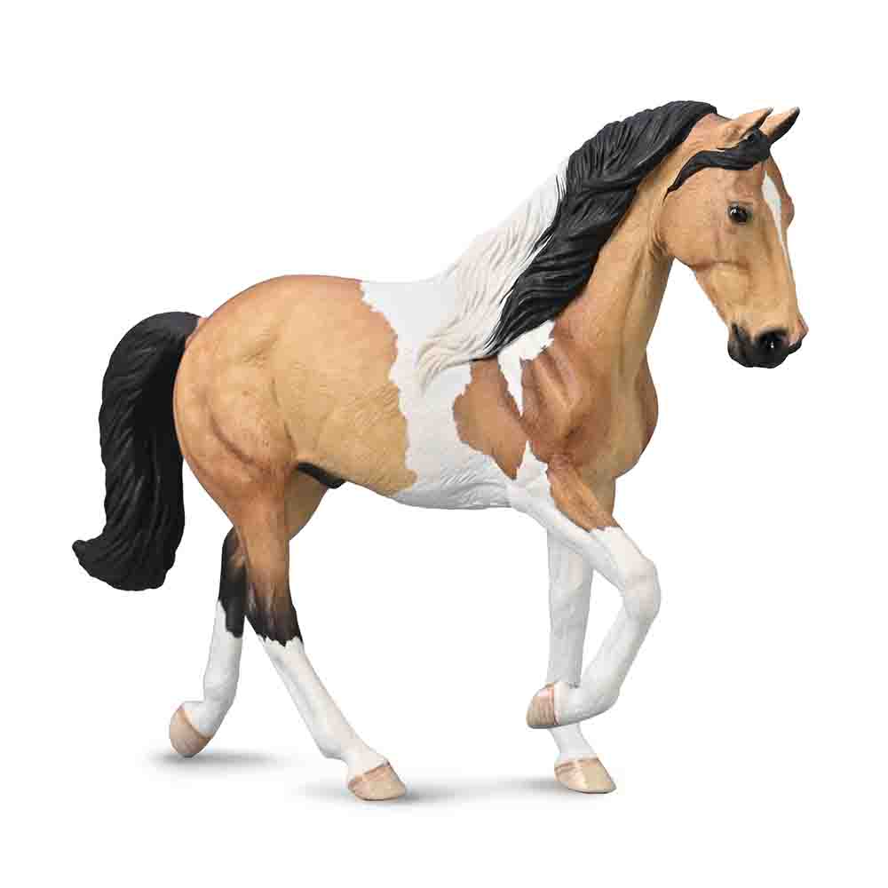 Tennessee Walking Horse Buckskin Tobiano