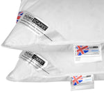 White Duck Feather And Down Pillow Pair