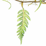 125cm Artificial Trailing Hanging Fern Foliage Plant