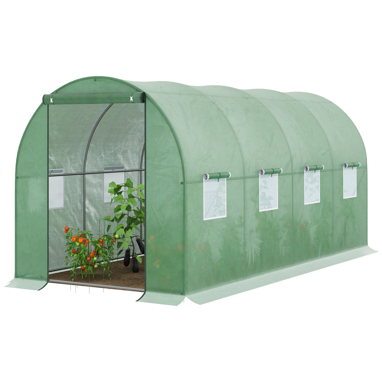 Walk-in  Polytunnel Greenhouse 4x2m