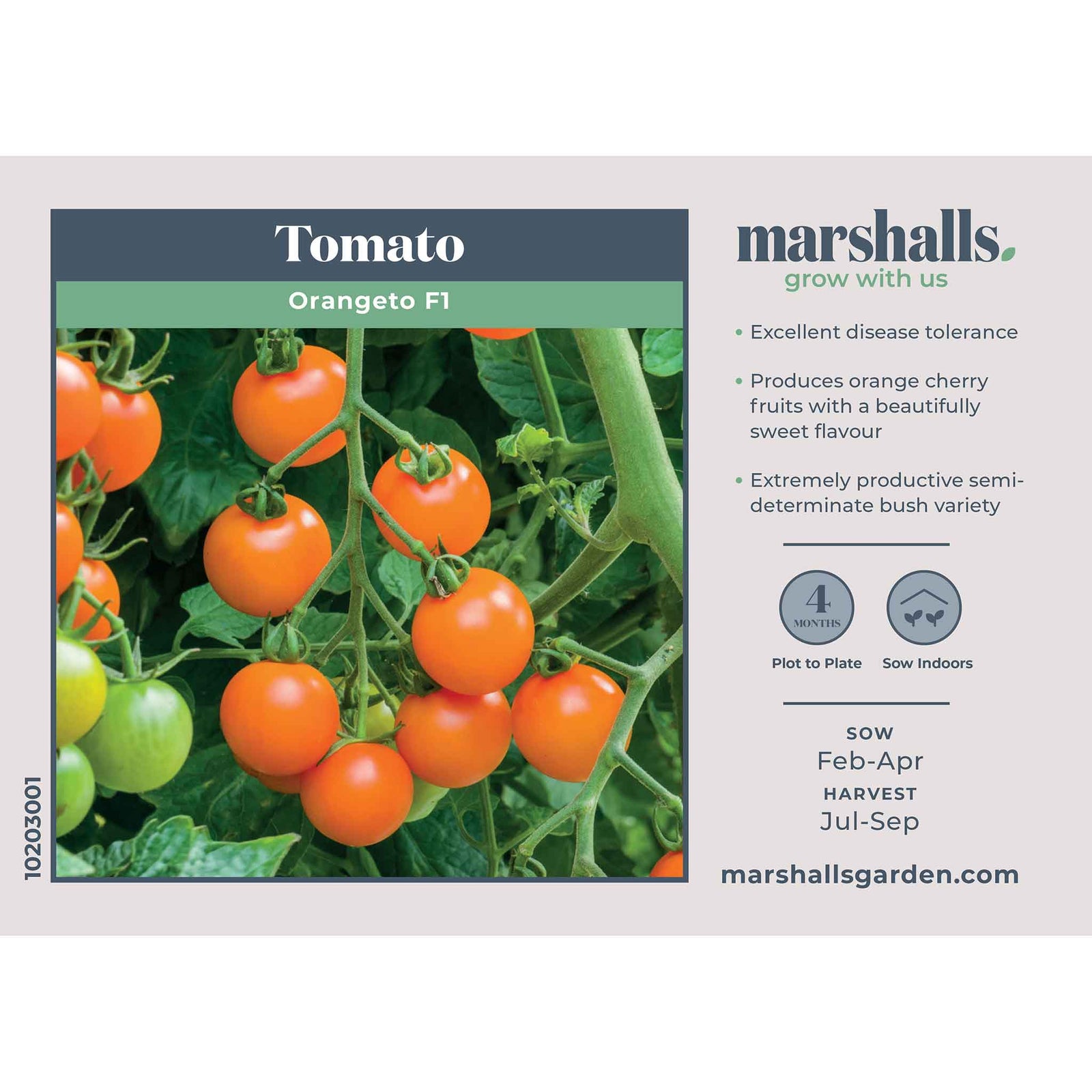 Tomato Seeds Orangeto F1 | 8 Seeds