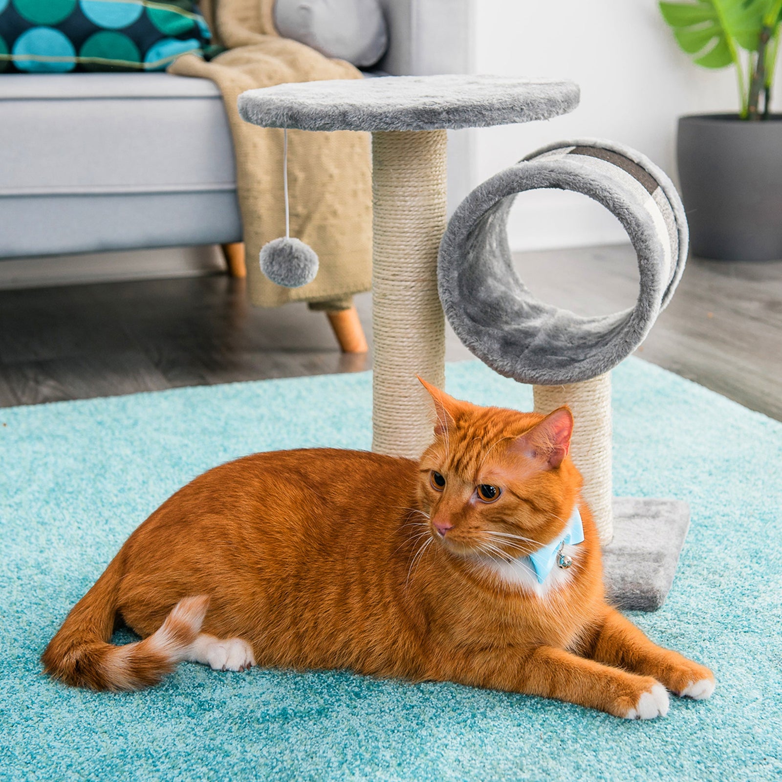 Cat Scratch Post With Bed And Tunnel