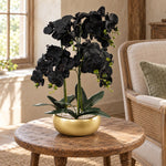 60cm Orchid Artificial Black Gold Ceramic Planter