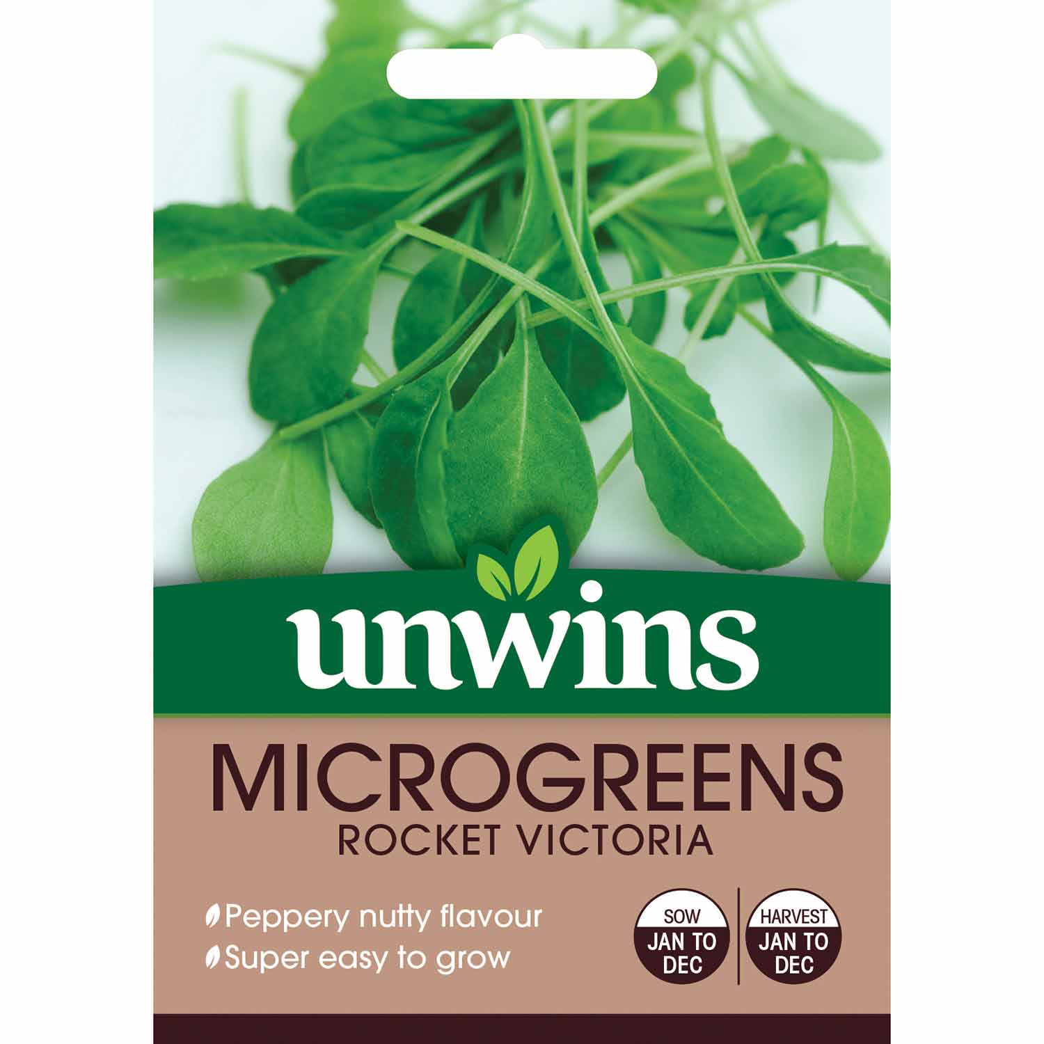 Rocket Victoria Microgreen Seeds | 1980 Seeds