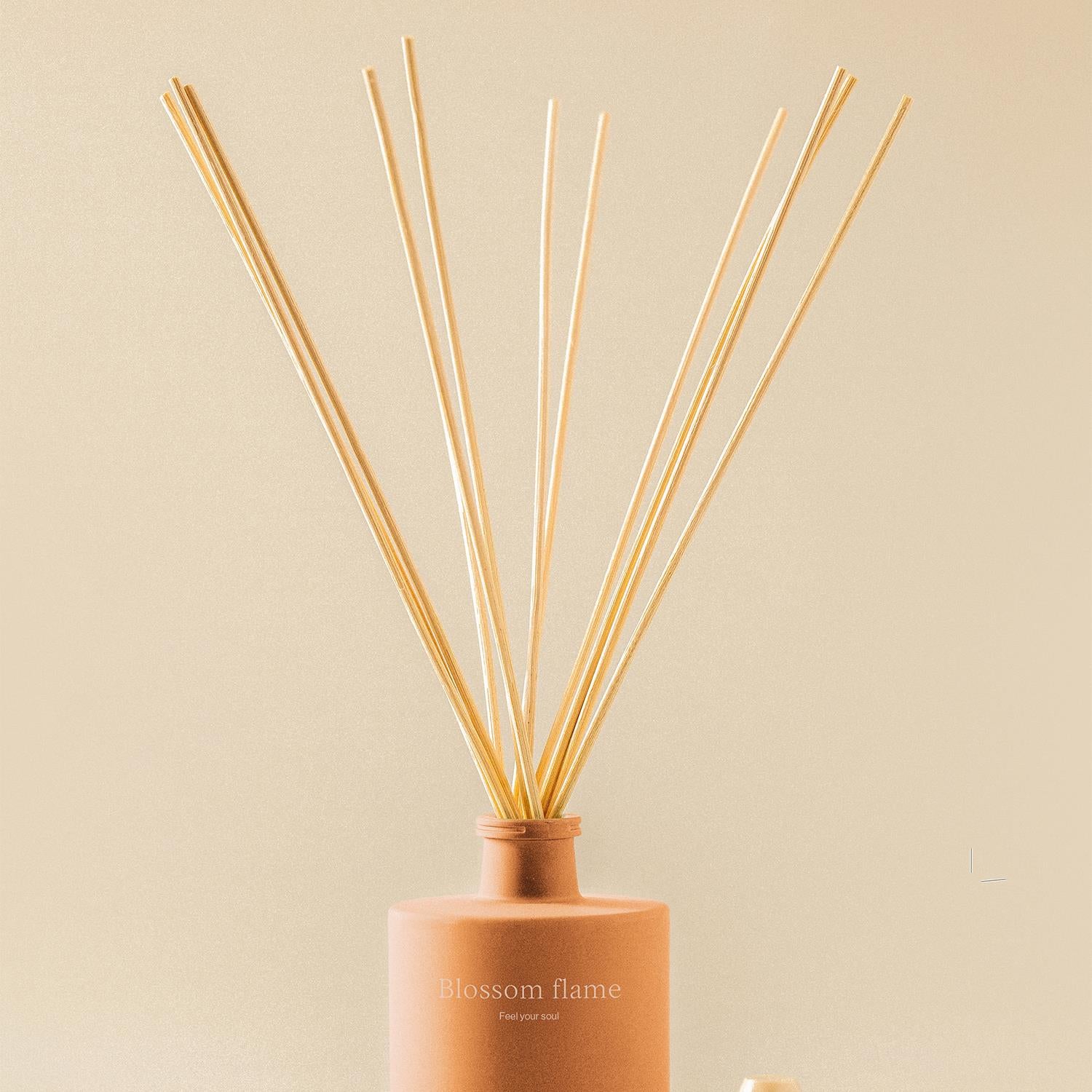 Reed Diffusor 100ml Fruity Raspberry Black Vanilla Essentials Collection
