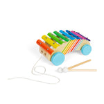 Bigjigs Toys Wooden Pull Along Xylophone For Kids