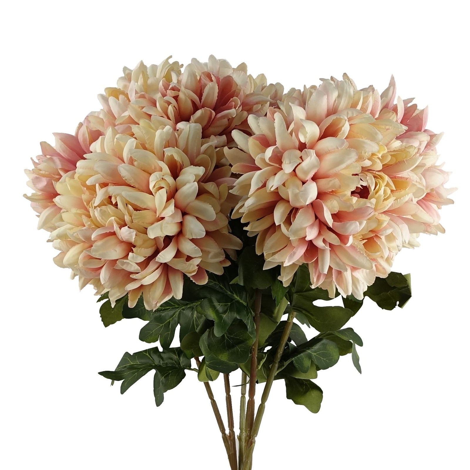 Pack Of 6 X 75cm Extra Large Reflex Chrysanthemum - Pink