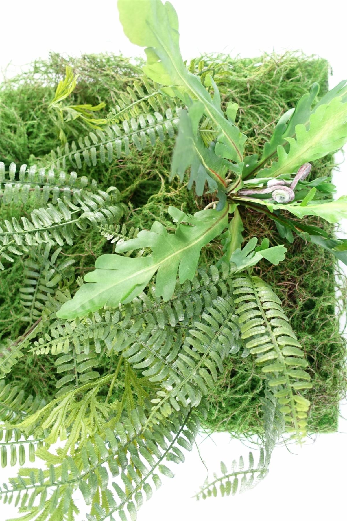 60cm Artificial Look Greenwall Ferns