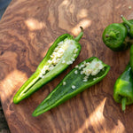 Chilli Plant 'padron' 50cm - Mild Spanish Tapas Pepper | 3 x 9cm | Green