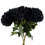Pack Of 6 X 75cm Extra Large Reflex Chrysanthemum - Black