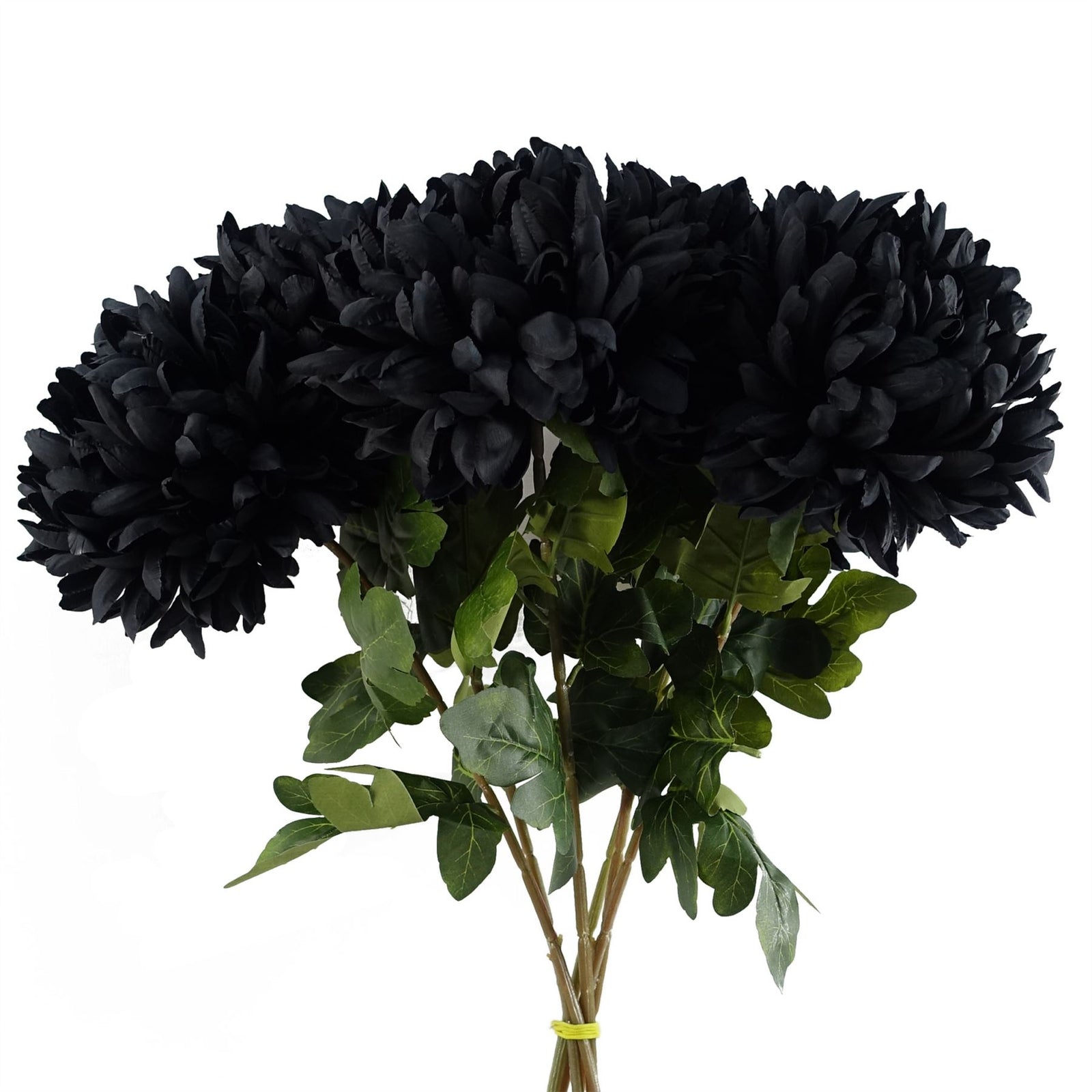 Pack Of 6 X 75cm Extra Large Reflex Chrysanthemum - Black