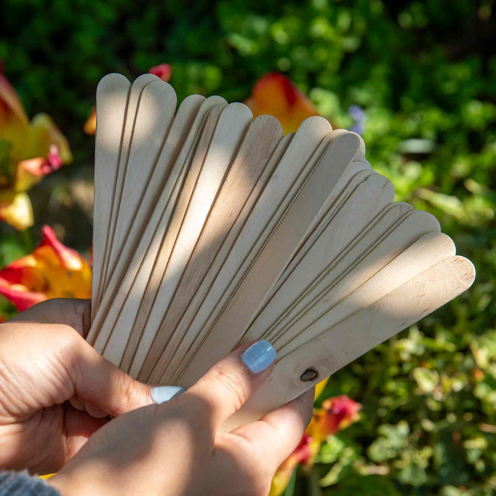 Wooden Plant Labels 15cm - Biodegradable Garden Markers | 25 Seeds