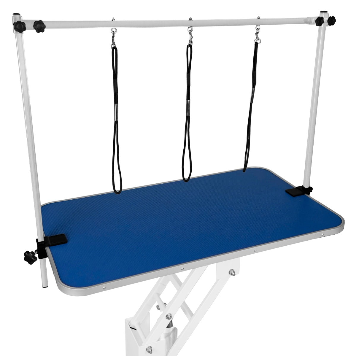 White Hydraulic Grooming Table | Blue