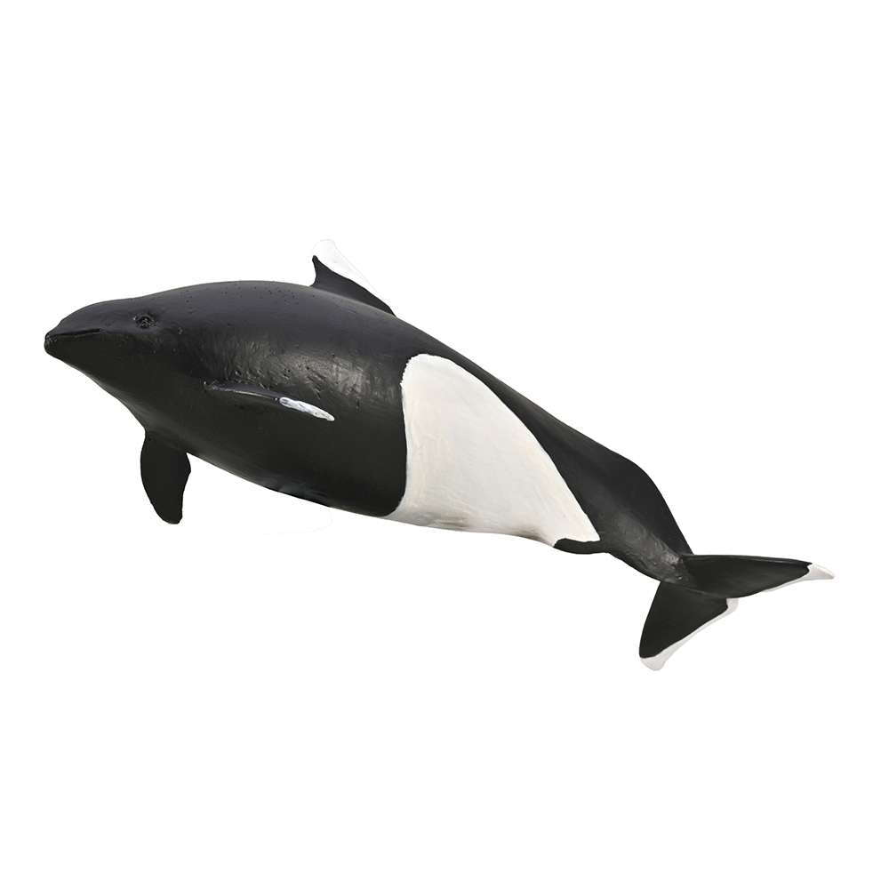 CollectA Dall's Porpoise