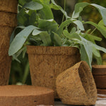8cm Coir Pots Pack Of 10