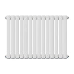Breeins 4633 Btu Horizontal Double Column Radiator