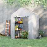 Greenhouse W/ 2 Tier Shelf & Roll-up Door - Clear | 143 x 143 x 195cm | Clear