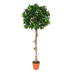 Artificial Green Handcrafted Ficus Topiary Tree With Pot, 125 Cm (4 Ft)