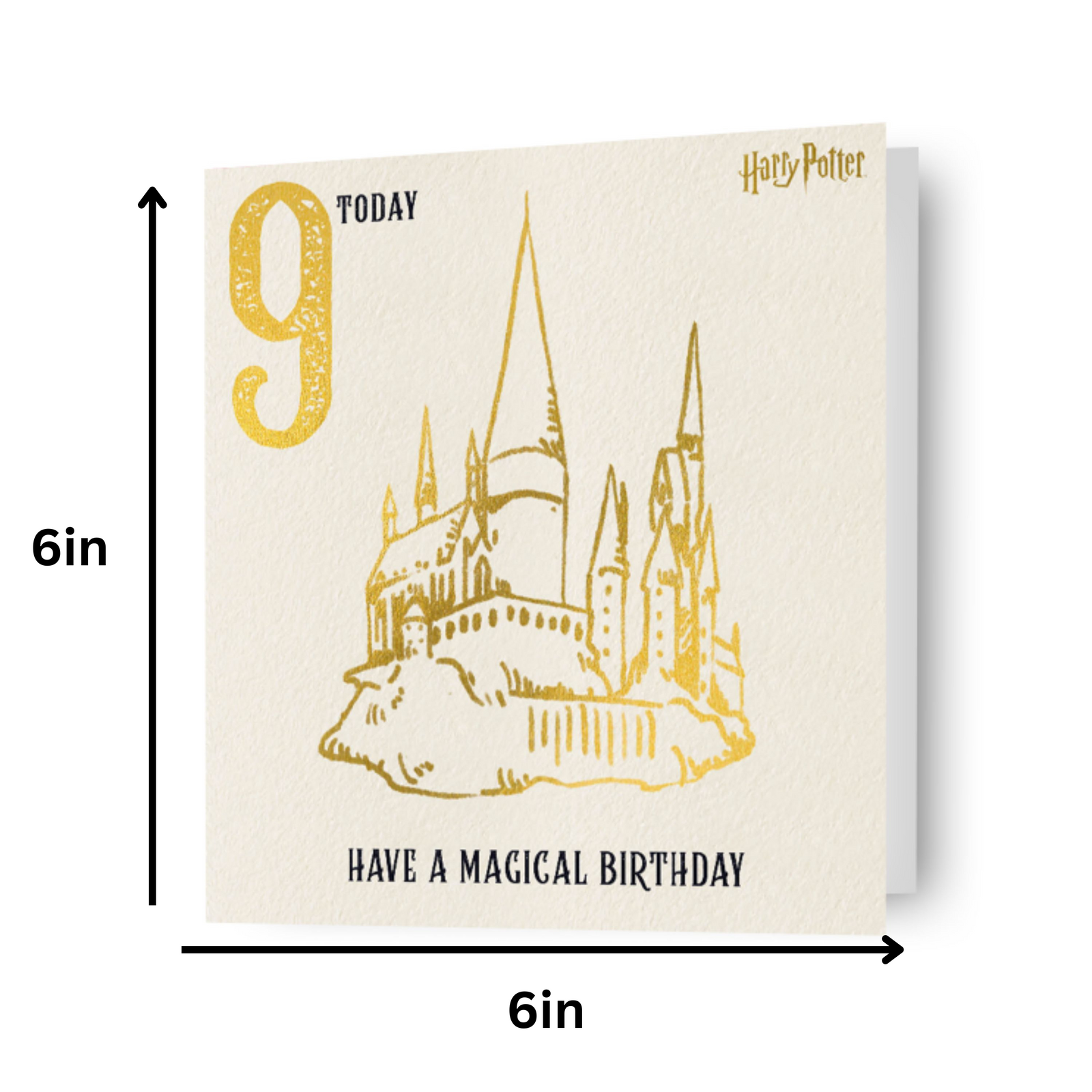 Age 9 Birthday Card Official Product