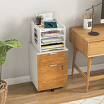 2 Drawer Filing Cabinet With Adjustable Hanging Bars