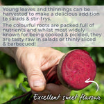 Beetroot 'boston' | 200 Seeds