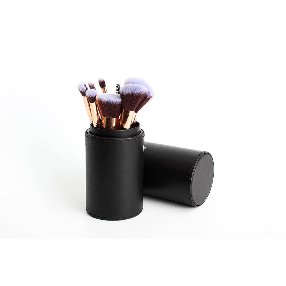 12 Pcs Professional Makeup Brush Set