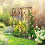 Leaf Design 2 Metal Plant Trellis 50 X 181cm