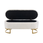 Breeins Teddy Fleece Upholstered Storage