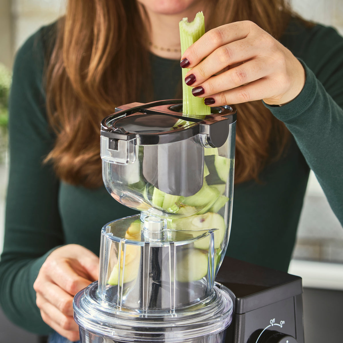 Slow Masticating Juicer