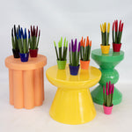 Snake Plant Velvet Touch - Sansevieria Cylindrica - Height 20-40cm - ⌀9cm | Pink