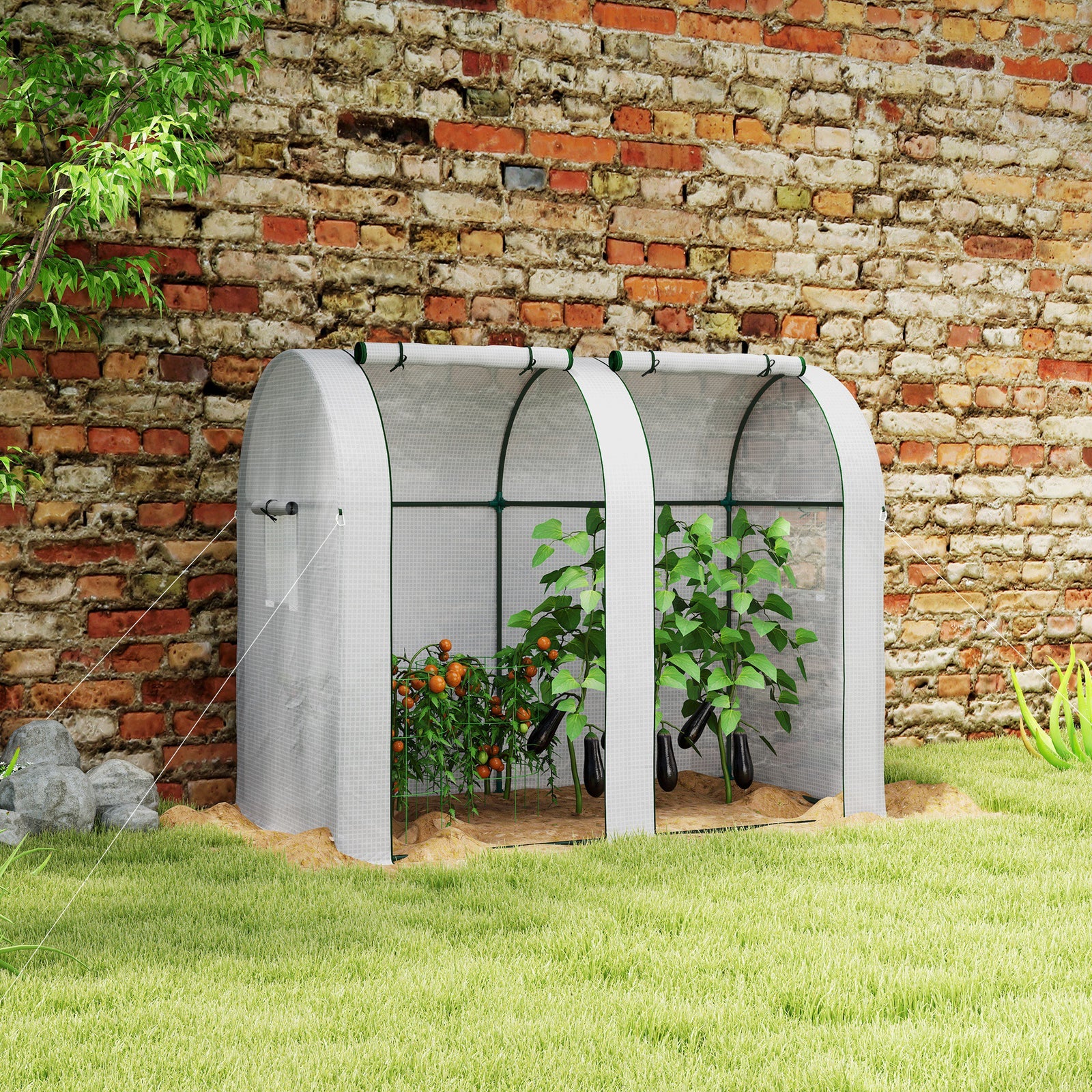 Tomato Greenhouse, Roll-up Door, Mesh Windows | White