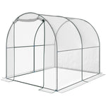 Transparent Polytunnel Greenhouse 2.5x2x2m