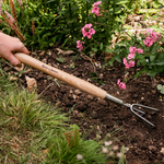 Stainless Steel 3-prong Border Hand Cultivator