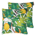 Tropical Indoor Outdoor Cushion Set Of 2 Water Resistant Cushions