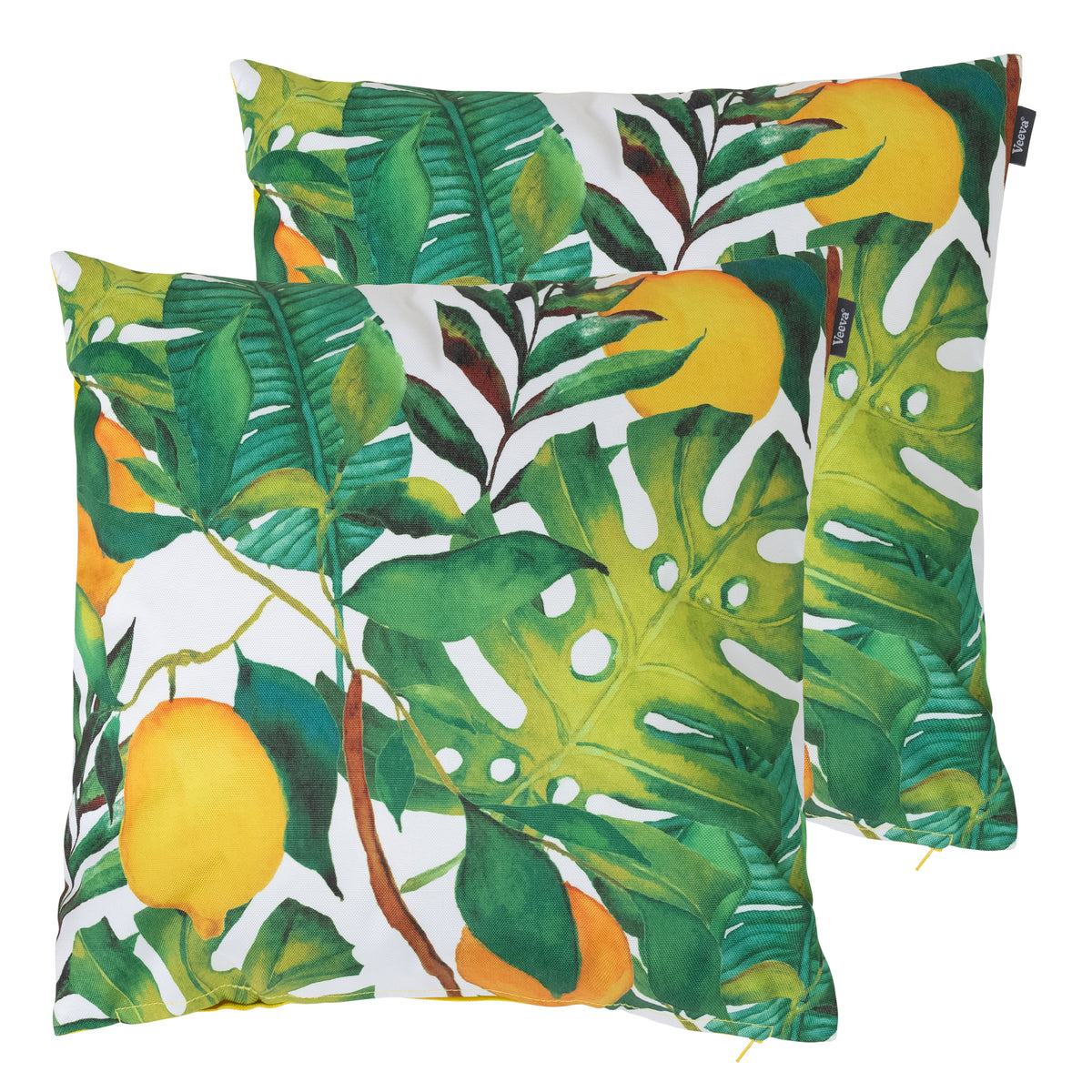 Tropical Indoor Outdoor Cushion Set Of 2 Water Resistant Cushions