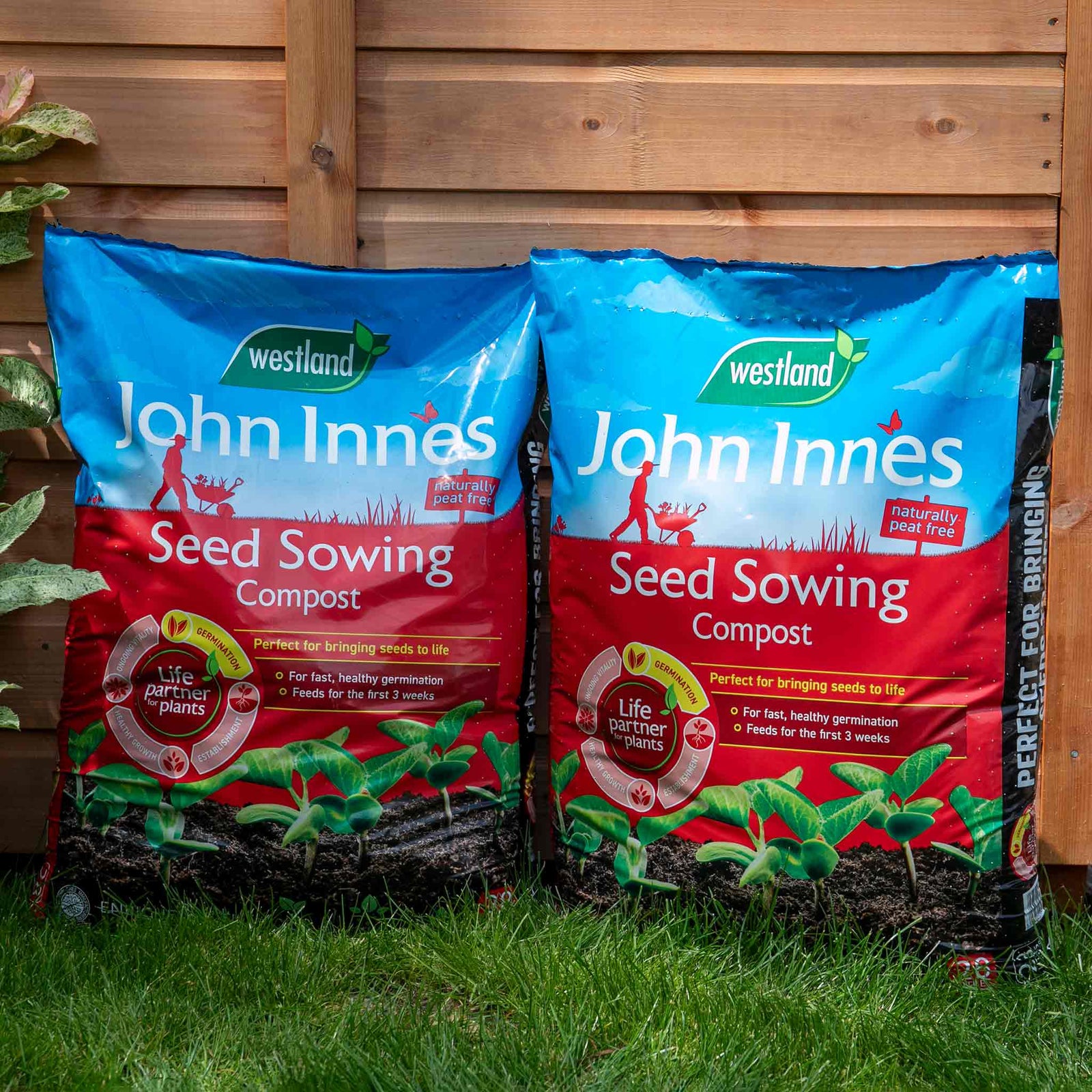 John Innes Peat-free Seed Sowing Compost | 28l