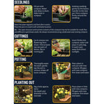 Peat-free Multi-purpose Compost With John Innes | 50l